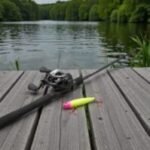 Reel Baicasting