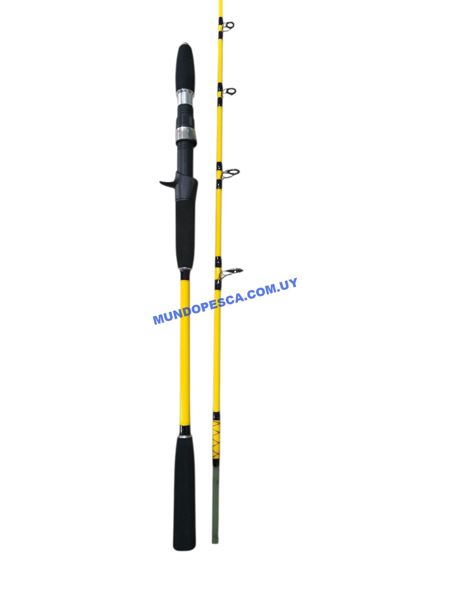 Caña casting Fishing AFQ 1.60m 20-150g - Imagen 4