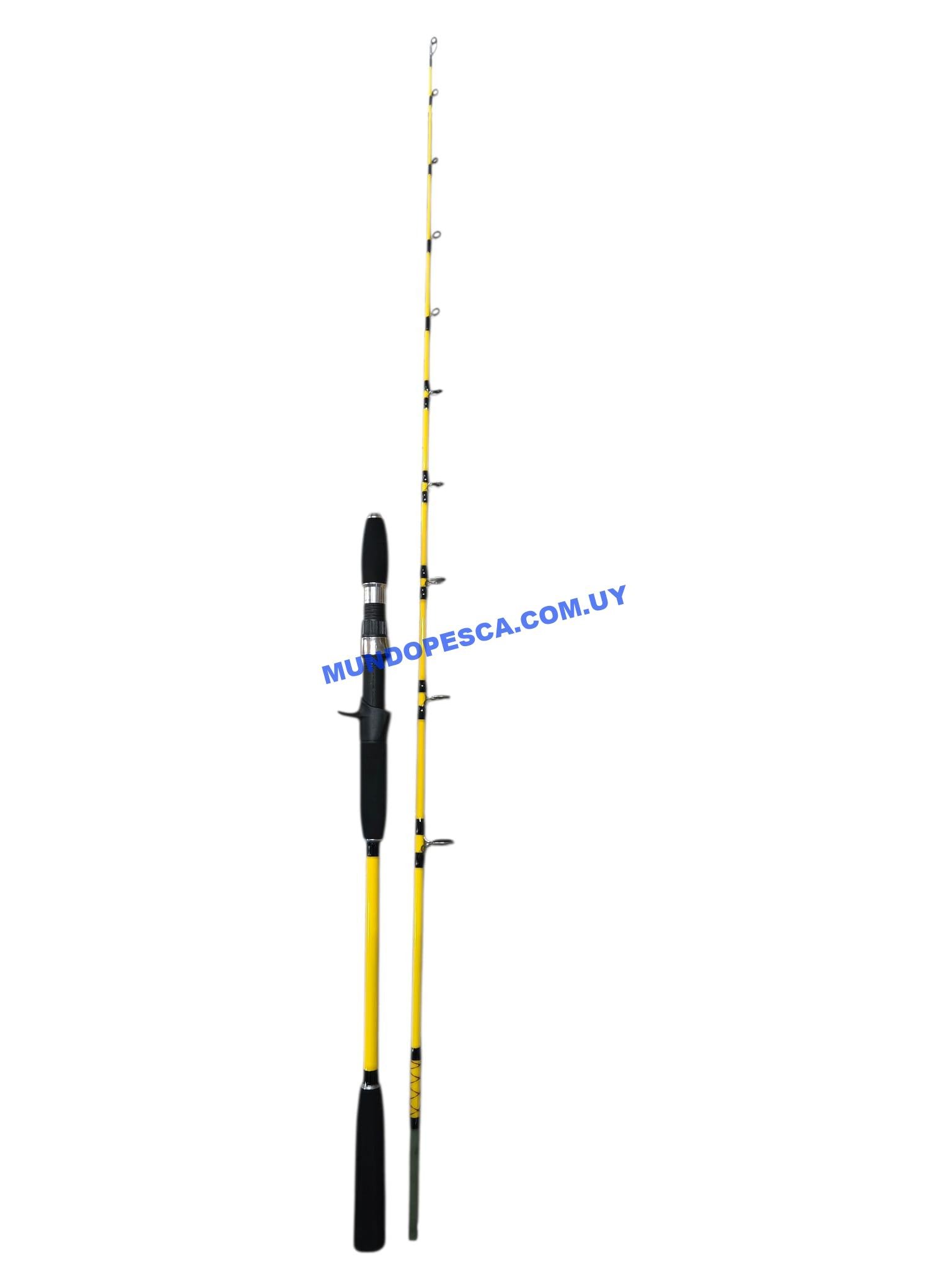 Caña casting Fishing AFQ 1.60m 20-150g - Imagen 5