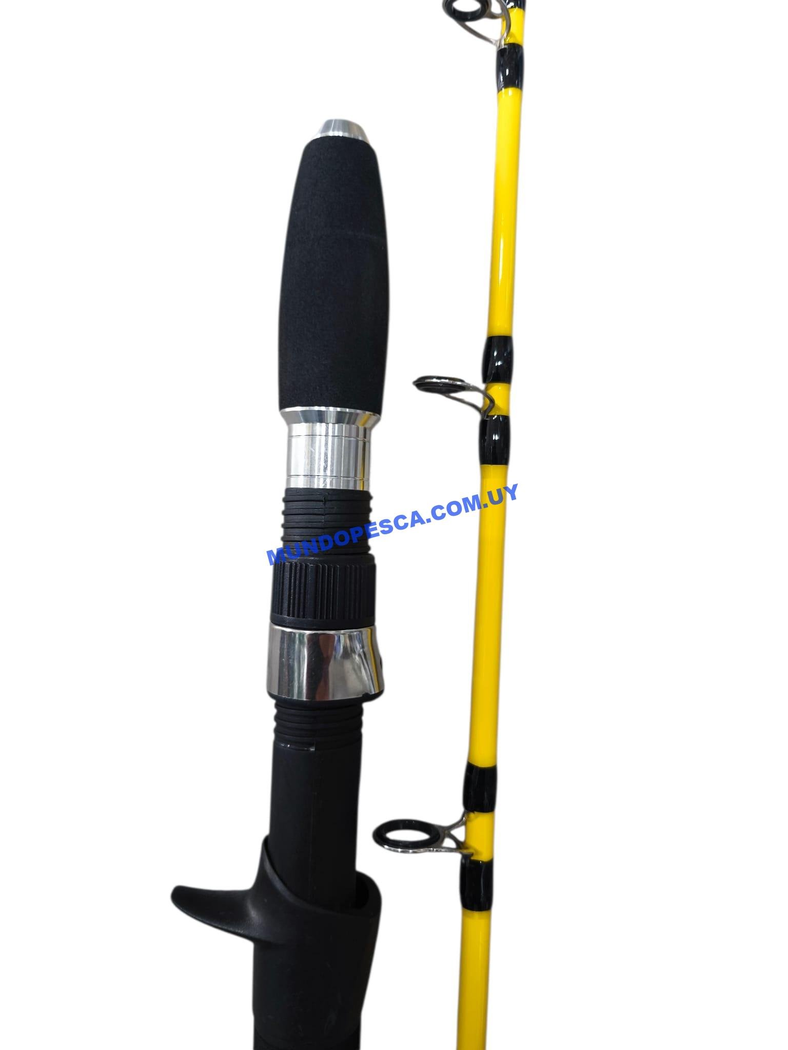 Caña casting Fishing AFQ 1.60m 20-150g - Imagen 2